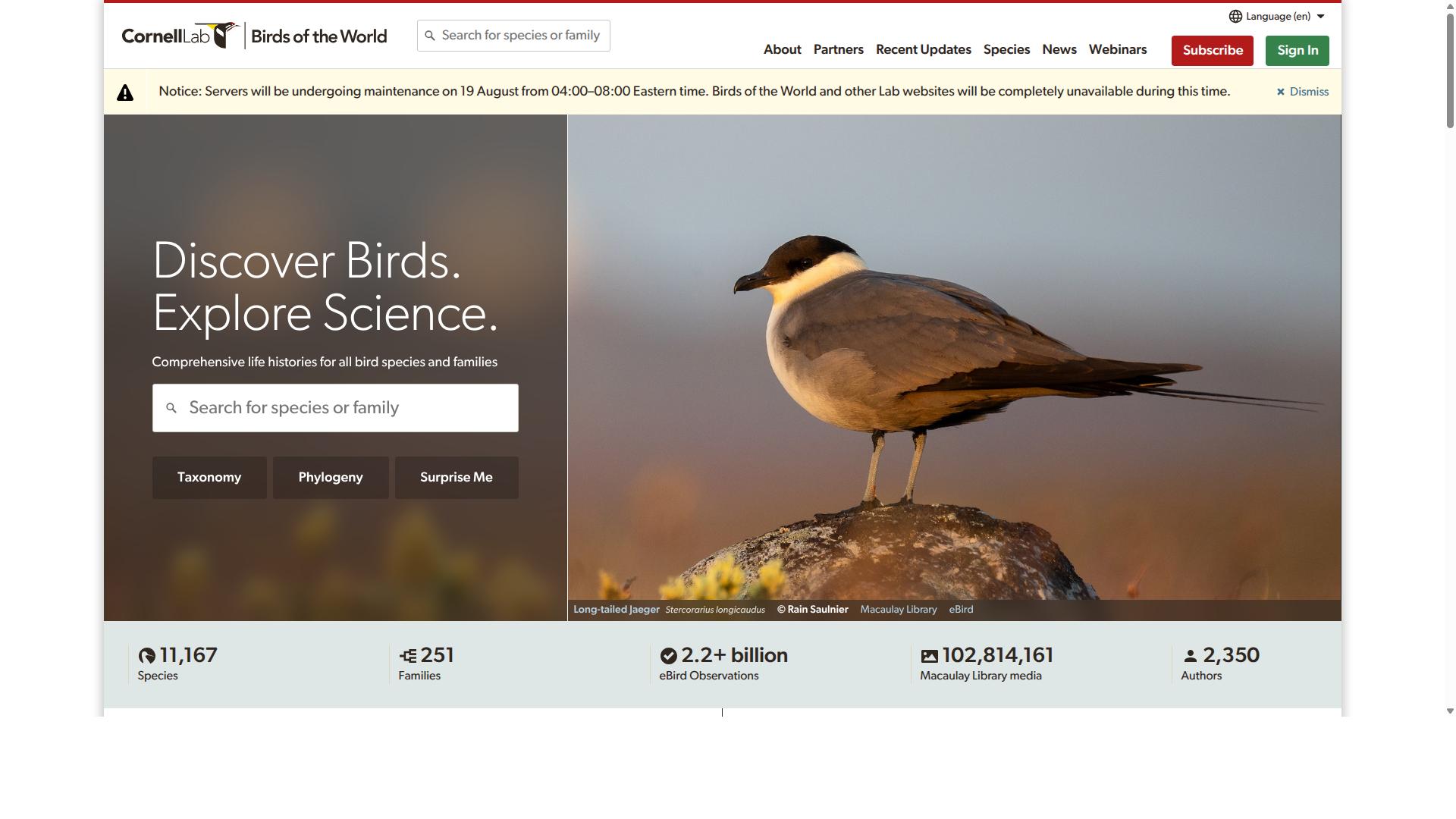 Bird website
